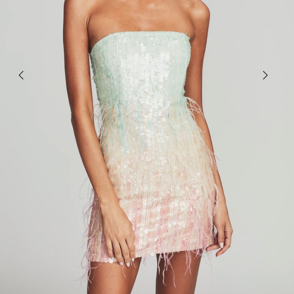 Retrofete Anastasia Sequin Feather Mini Dress